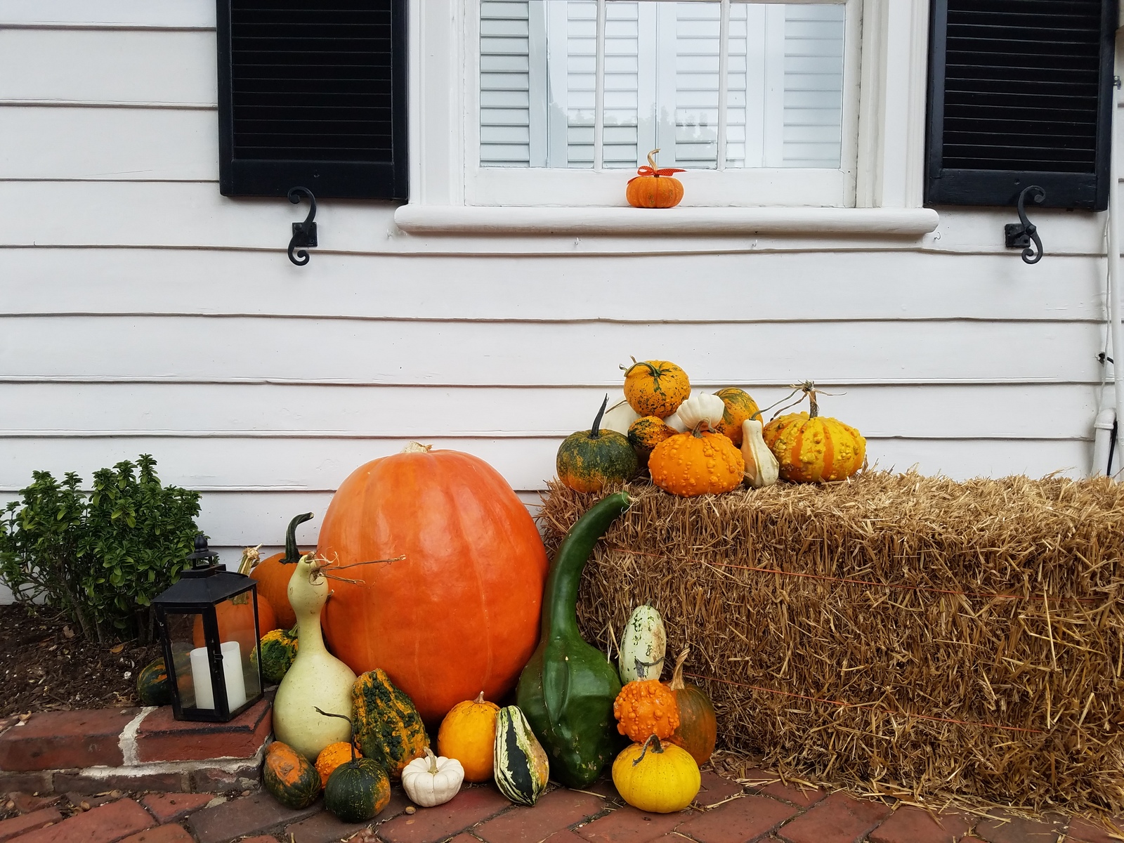 33031934_pumpkins-and-gourds-on-hay-or-straw-bale-and-white-house